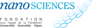 nanosciences logo